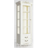 Витрина стеклянная L APg289E-K02-G