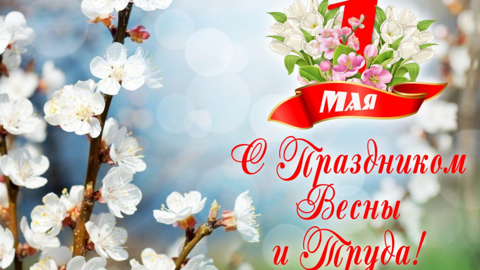 С праздником 1 мая!